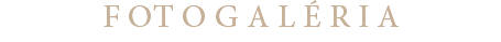 F OT O G A L É R I A
